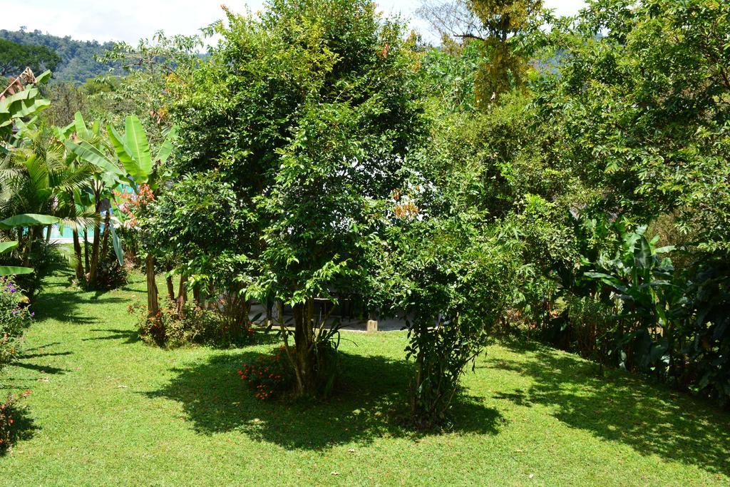 Casa de Piedra Albergue Mindo Exterior foto